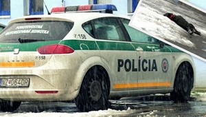 Psík vypadol z 9. poschodia! Podľa majiteľa spáchal samovraždu