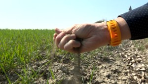Sneh a zima nepripomínajú jarné počasie. Klimatológovia ale upozorňujú na nevídané sucho