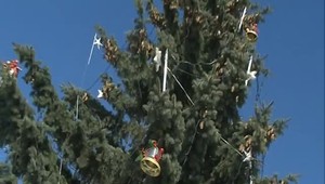 Zasadila ju vlastnými rukami. S mohutnou jedľou sa starenka lúčila so slzami vo očiach