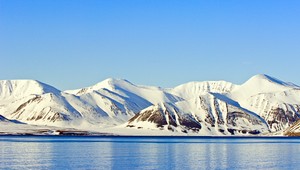 Ľadový medveď zaútočil na českých turistov. Prežili všetci, okrem medveďa