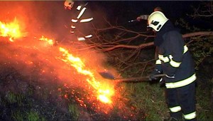 Požiar pod lesom! Hasiť sa muselo lopatami...