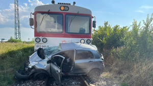 Prechod cez železničné priecestie sa stal pre 40-ročnú ženu osudným. Zrážku s vlakom neprežil ani jej pes