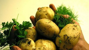 8 JEDÁL, ktoré by ste za žiadnych okolností nemali zohrievať v mikrovlnke