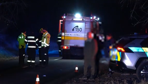 Nezastavil a neposkytol prvú pomoc: Vodič narazil do dvoch chodkýň, z miesta činu ušiel