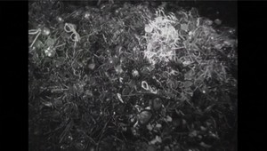 Štúdio 24: Prečo nezabúdať na Holokaust?