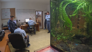 Oheň pod lupou: Ako vyzerá 24 hodín v službe hasičov?