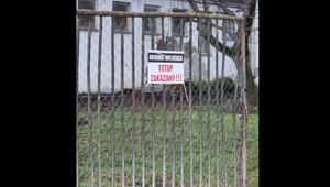 Vtáčia chrípka zasiahla farmu pri Komárne: Tisíce kusov hydiny uhynuli