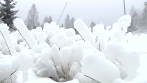 Perinbaba nešetrila v susednom Poľsku. V Tatrách majú snehu na rozdávanie