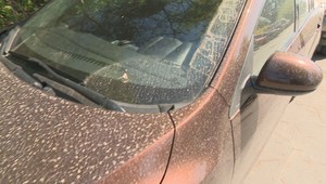 Čo tvorí saharský piesok a môže byť nebezpečný? Pýtali sme sa na technickej univerzite