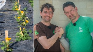 Používáte v zahradě mulčovací textilii? Pozor, může udělat více škody než užitku!