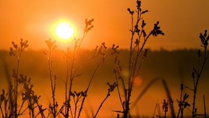 Začalo sa babie leto, tieto teploty prinesie