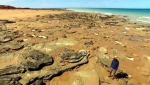 Matematici tvrdia, že masívne vyhynutie sa blíži. Deti sa môžu dožiť jeho začiatku