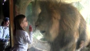 Tomu sa povie láska! Sofia (3) sa zamilovala do leva