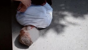 Notorického zlodeja nezastavilo ani to, že v dome, do ktorého sa chcel dostať, boli domáci