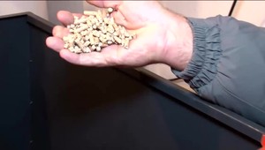 Energetická pomoc štátu pre domácnosti sa nedotýka ľudí, ktorí svoje domy vykurujú drevom a peletkami