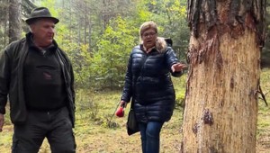 Muži z kysuckej osady zničili desiatky borovíc. Ich kôru potom predávali za pár eur