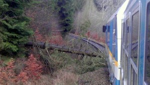Na vlakové koľaje spadol strom. Kmeň mal narezaný a bol pri ňom hrozivý odkaz