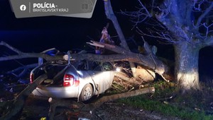 Tragická nehoda: Po náraze do stromu zahynul 25-ročný vodič