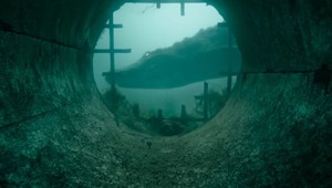 Ak ste sa doteraz nebáli obrovských aligátorov, teraz už budete