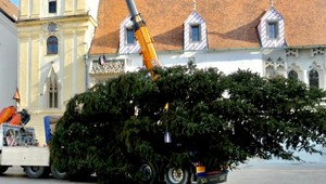 Symbol Vianoc už v hlavnom meste stojí. Odborníci sa ale obávajú, aby dovtedy vydržal