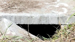 Žena odhodila novorodeniatko do kanála, prežilo päť dní