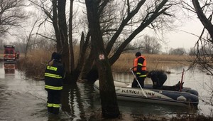 Hasiči stále bezvýsledne pátrajú po žene, ktorá zmizla pri venčení psov