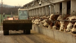 Problémy farmárov. Ustáť ich dokážu len tí najsilnejší