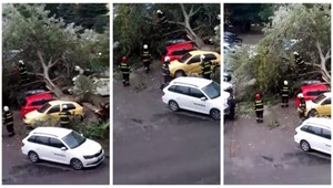 VIDEO: Na autá v bratislavskom Ružinove padol obrovský strom