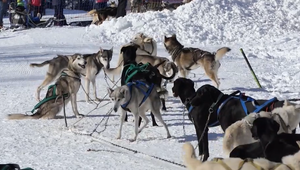 Snežné psy v Tatranskej Lomnici: Víkendové dopravné obmedzenia