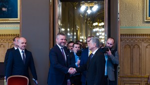 Dôležité je ďalšie fungovanie V4, vyjadril sa Pellegrini v Budapešti