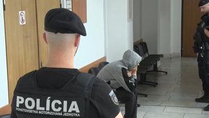 Opitý muž napadol svojho otca. Toho zachránil sprej na medvede