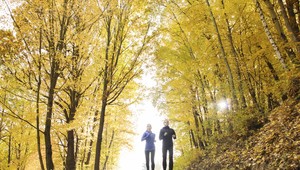 Počasie: Farebná jeseň