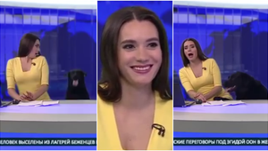 Pes narušil živé vysielanie Novín: Pre toto sa z neho stala internetová senzácia!