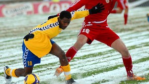 Kokosy to na snehu nepoznali