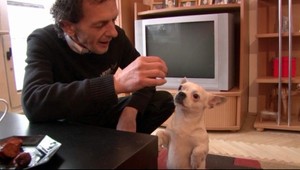 Pozri, kto to hovorí! Pes, ktorý by si mohol poklebetiť aj s papagájom