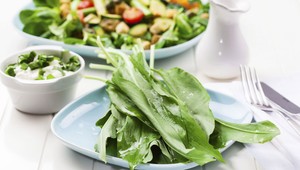 Namiesto vitamínov OTRAVA. Medvedí cesnak si pomýlila s jasienkou!