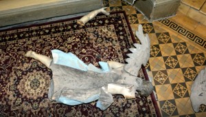 V kostole vyčíňali vandali. Odniesol si to aj anjel