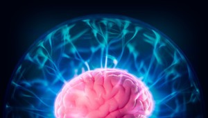 Mozog vykazuje aj po smrti aktivitu, akoby bol len v hlbokom spánku