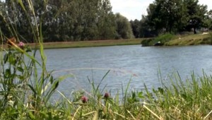 Rybárov vyrušovali kúpajúci sa, skončilo sa to bitkou