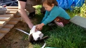 Minister práce chce radikálnu zmenu v rodičovskom príspevku. Bude vyšší?