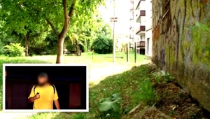 Úchylák v kríkoch pri ihrisku: Močil som...