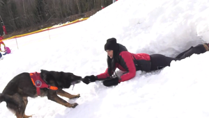 Reportérka TV JOJ sa nechala zahrabať pod sneh. Vyslobodzoval ju skúsený pes