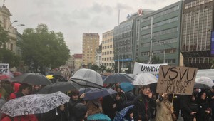 Protest Stojíme pri kultúre vyzval ministerku Laššákovú na odchod