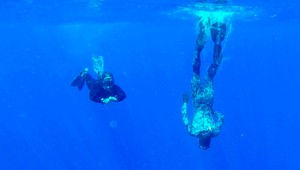 Austrália si najala súkromnú firmu, prehľadá dno oceánu