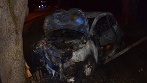 Hrozivá dopravná nehoda pri Žiline. Auto po zrážke s diviakmi narazilo do stromu a začalo horieť