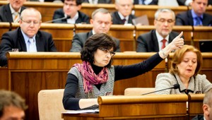 Žitňanská: Polemiky o Radičovej kandidatúre sú dehonestujúce