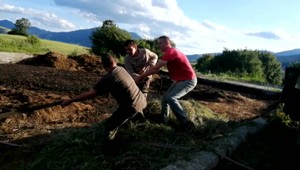 Mladí ľudia zachraňovali teliatko. Odpojilo sa od stáda zrejme preto, lebo ho ohrozoval medveď