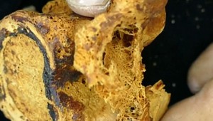 Na rakovinu trpeli ľudia už pred 4 tisíc rokmi. Dôkazom sú múmie