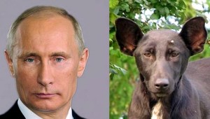 Ruský prezident Vladimir Putin je osobnosťou roka!