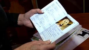 Psík zomrel na Silvestra po tom, čo ho na smrť vydesila pyrotechnika